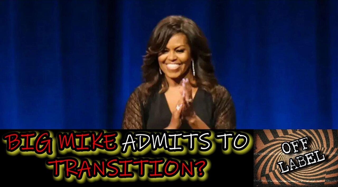 Michelle Obama Opens Up About Her Transition Phase