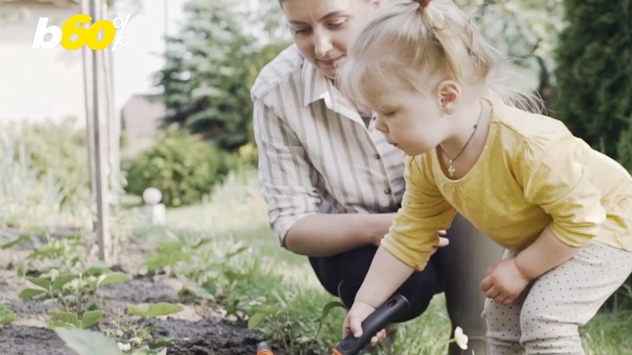 Social Media Is Influencing So Many When It Comes to Homeowners and Their Yards