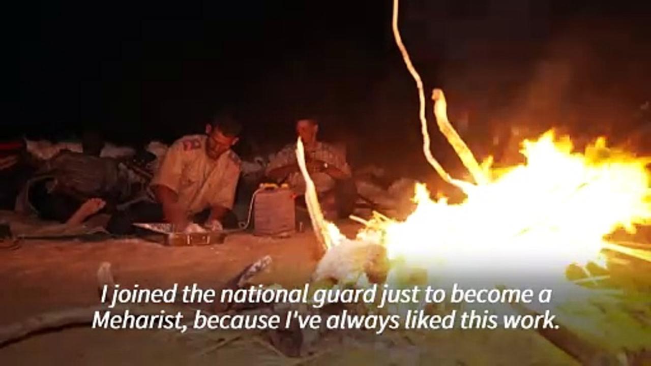 Mauritania's camel-riding cavalry keeps jihadists at bay