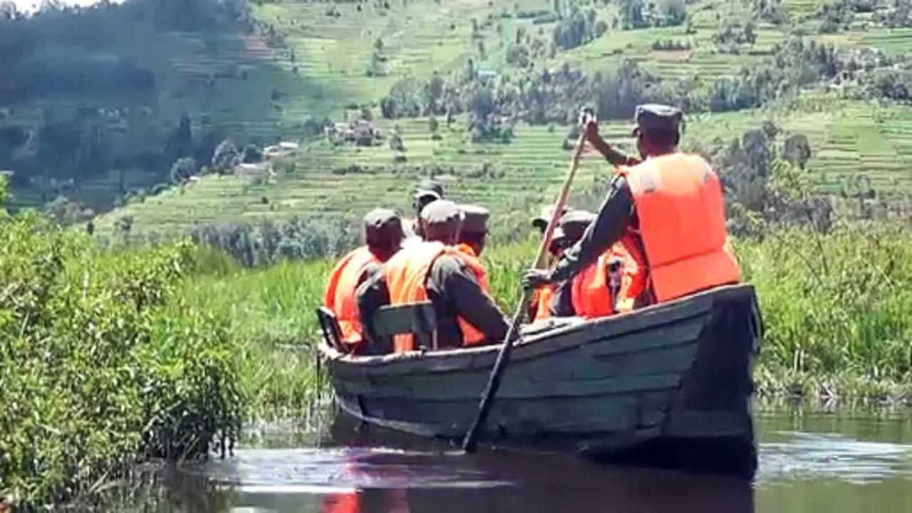 Grey Crowned Cranes return to Rwanda thanks to conservation efforts