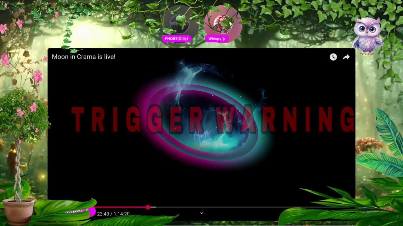 Live with Restream, May 14