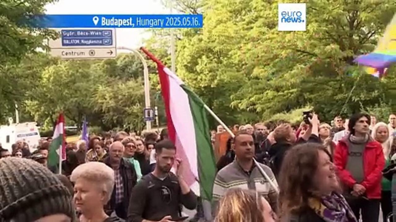 Protesters in Budapest demonstrate against 'Transparency Bill' with banner and red paint