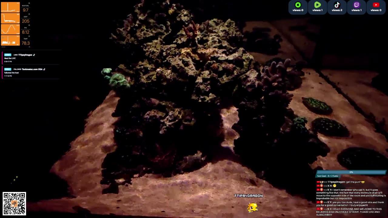 24/7 Real Live Reef Stream