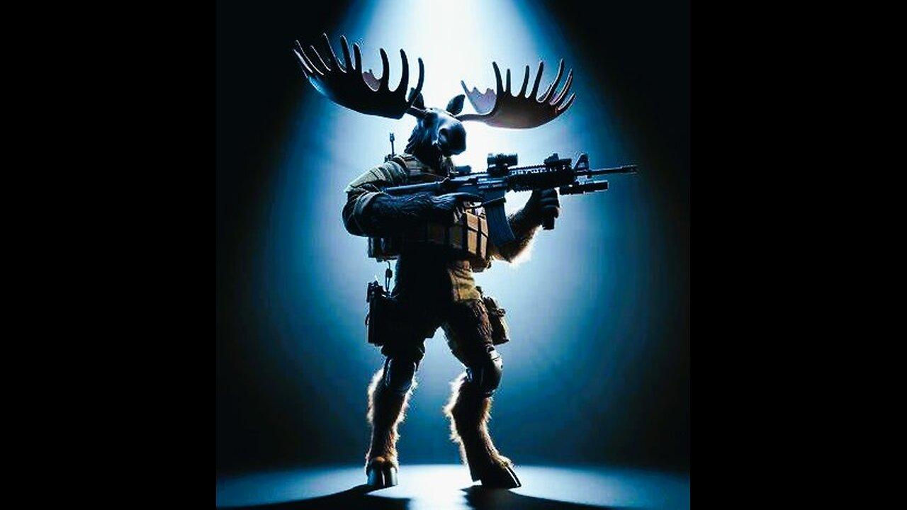 Cod Wz/ The Finals/ Arma Reforger