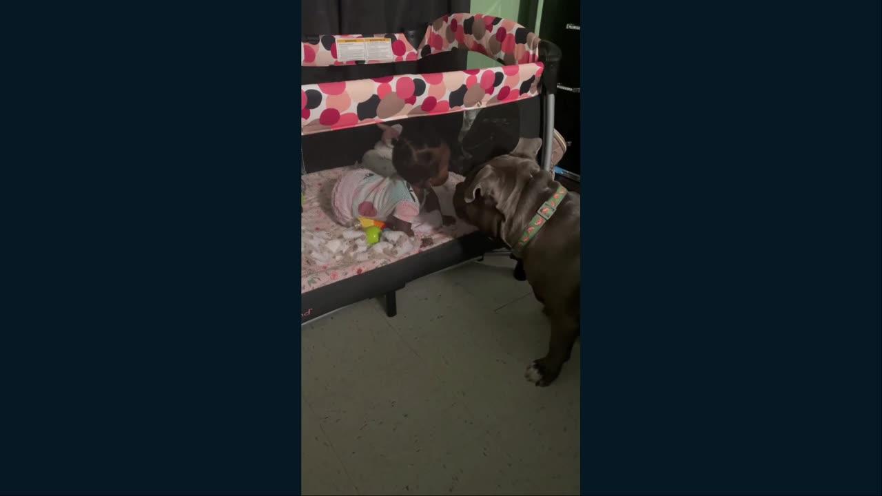 Meet Blue and his family