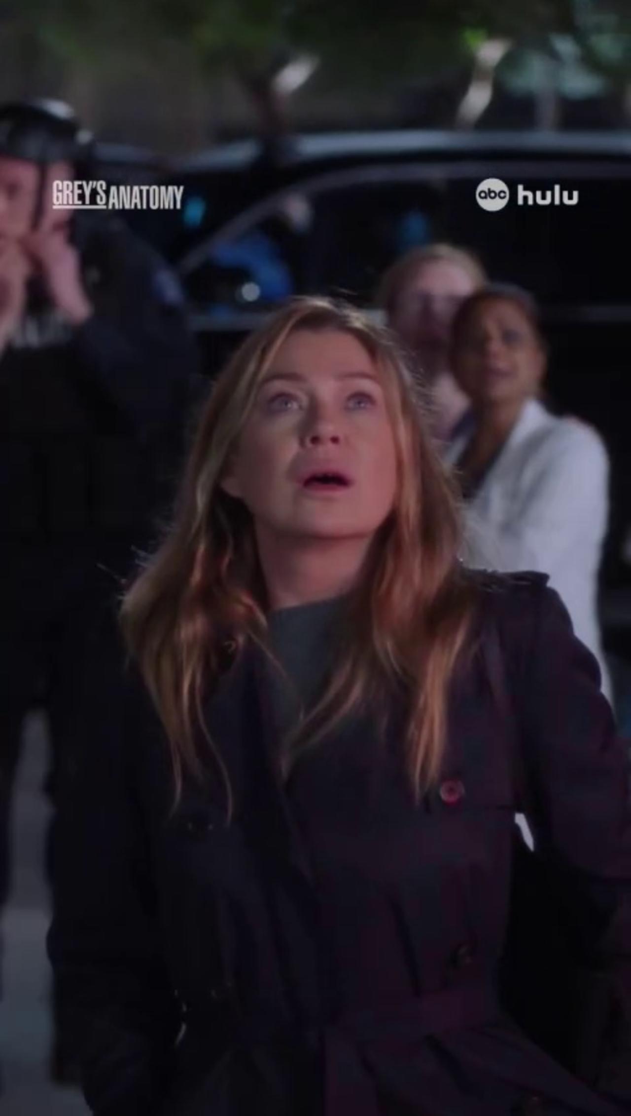 Finale Cliffhanger Rocks Grey's Anatomy