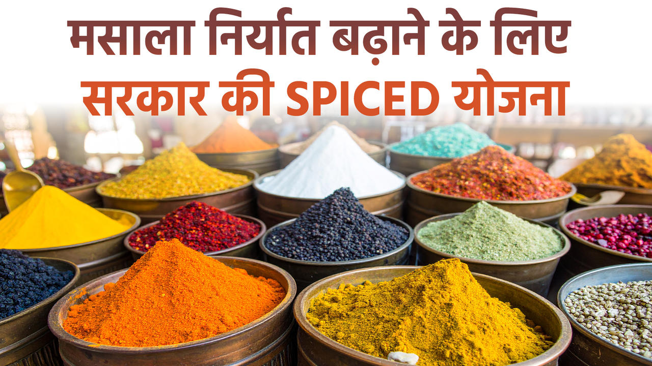 जानिए मसाला निर्यात को बढ़ाना देने के लिए सरकार 