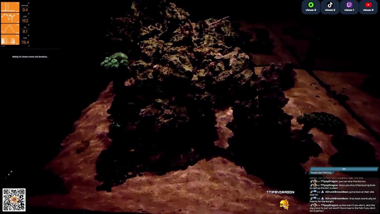 24/7 Real Live Reef Stream