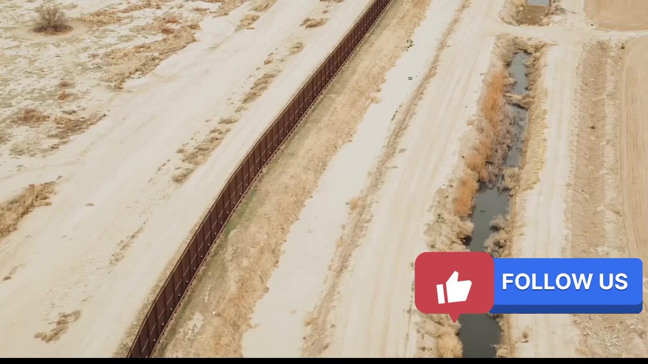"Elon Musk QUITS Politics! 🔥 What’s Next for the Billionaire in 2025?"
