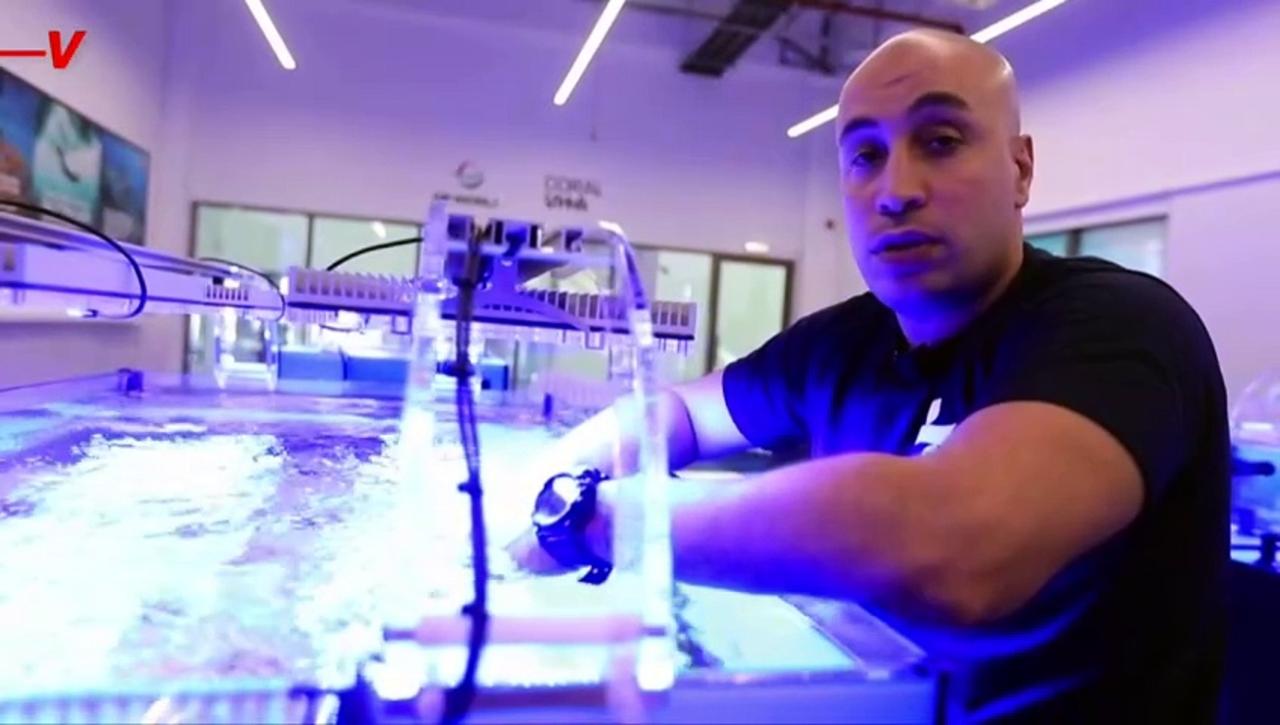 This Could Be The Method of The Future in Regrowing Coral Reefs