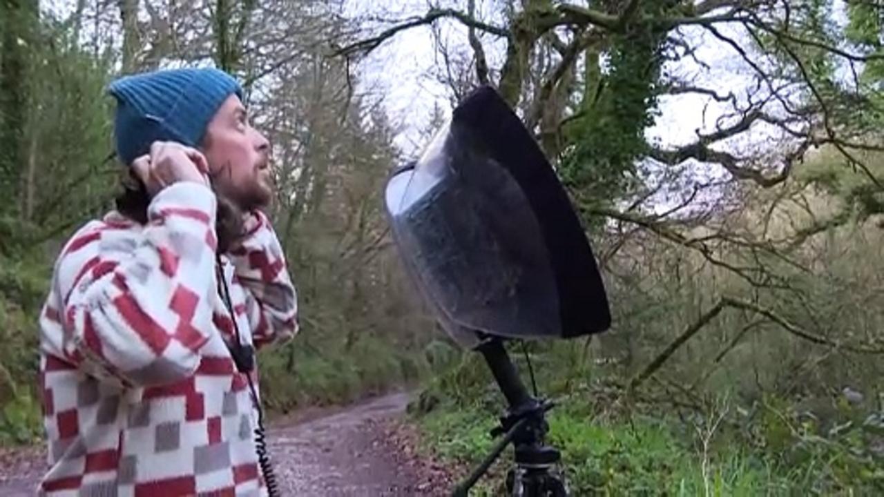 The man on a mission to record the sound of every bird species in Ireland