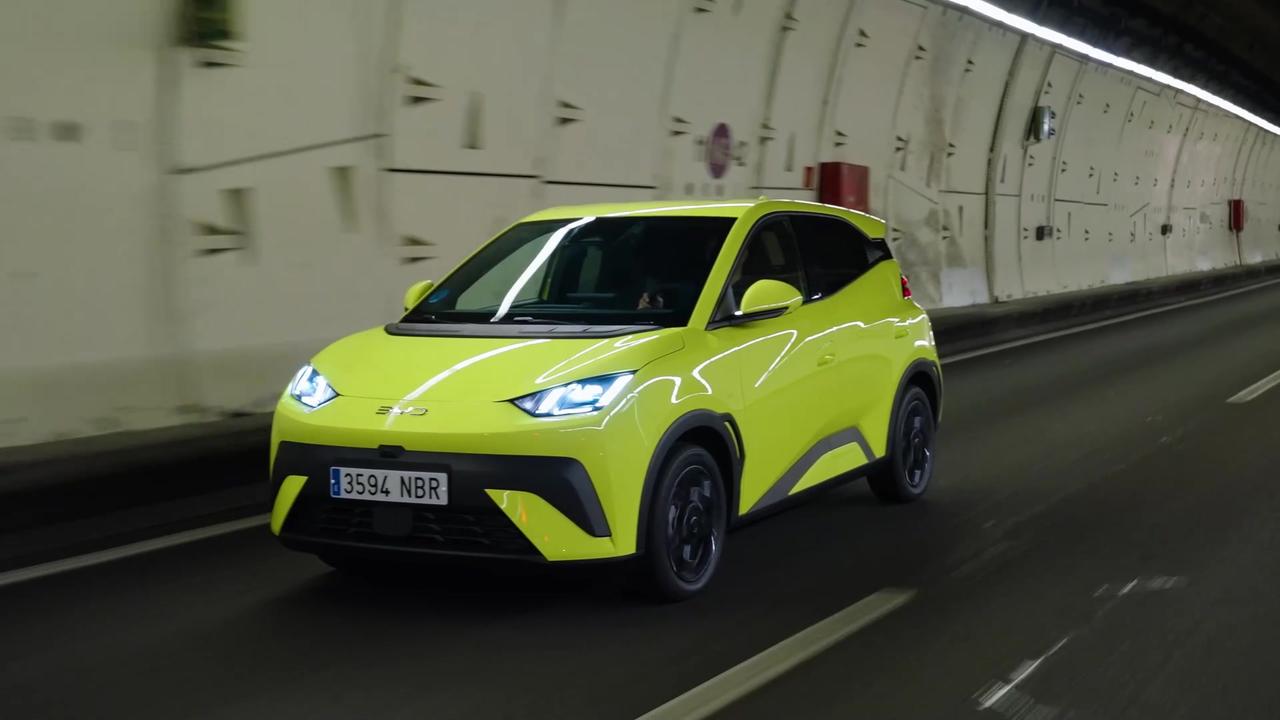 BYD Dolphin Surf Teaser