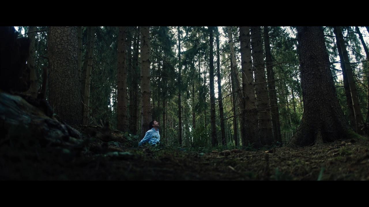 BARK Movie