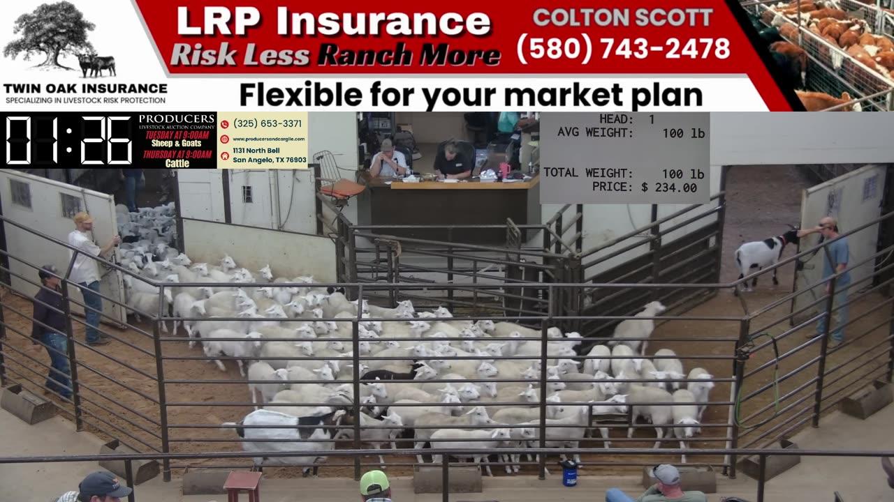 5/27/2025 - Sheep & Goat Auction - Producers Livestock Auction Company