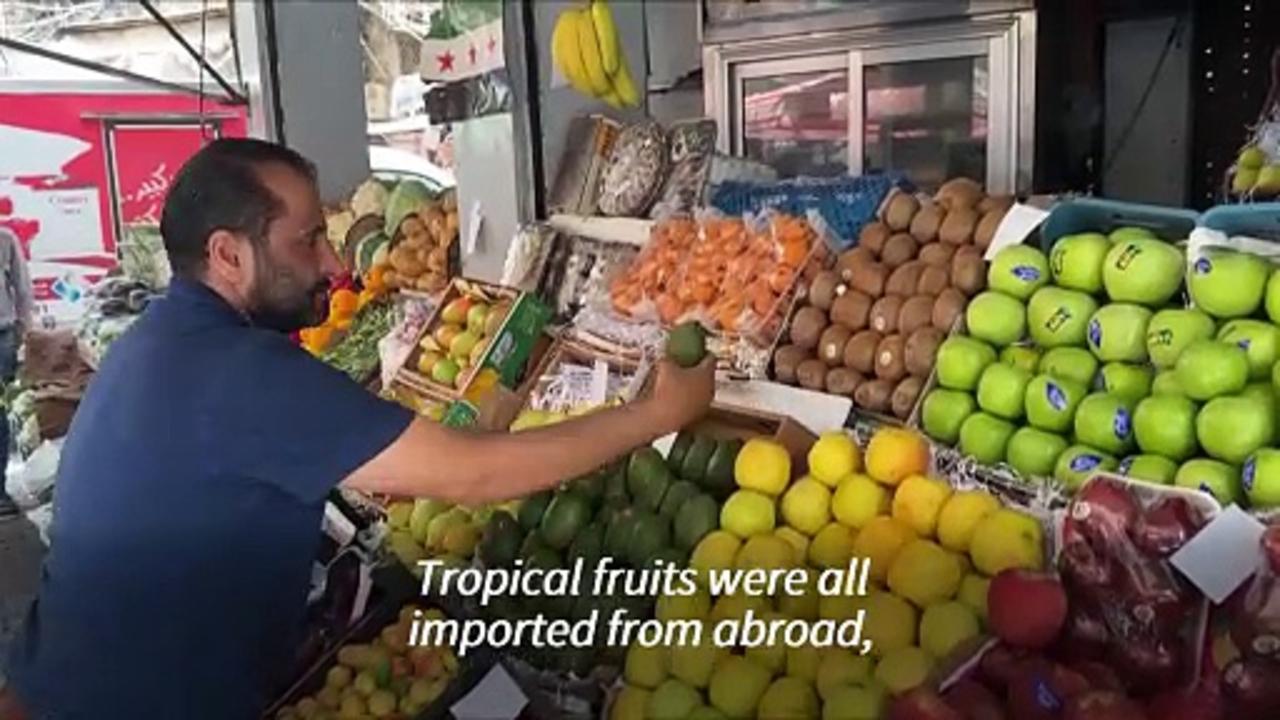 Pineapple is the new potato: imported fruits back in Syria