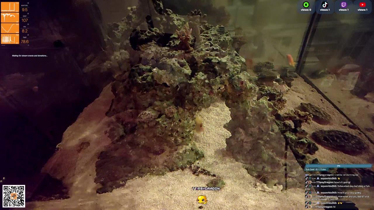 24/7 Real Live Reef Stream