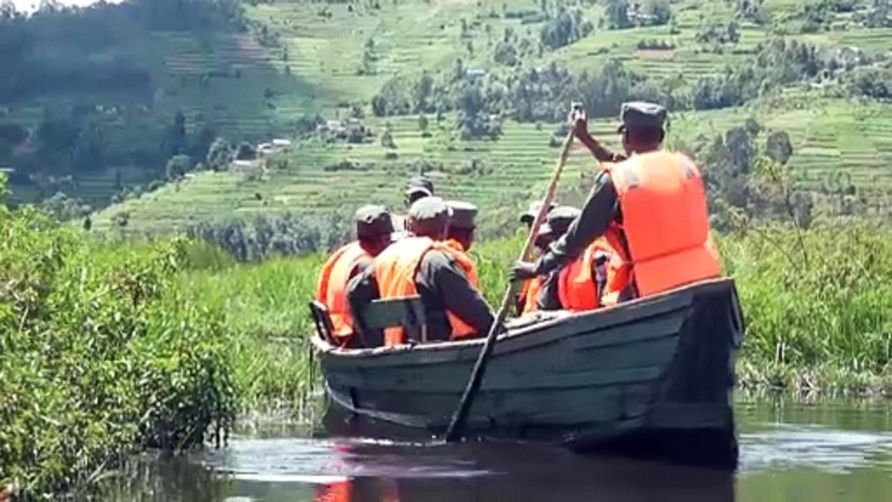 Grey Crowned Cranes return to Rwanda thanks to conservation efforts