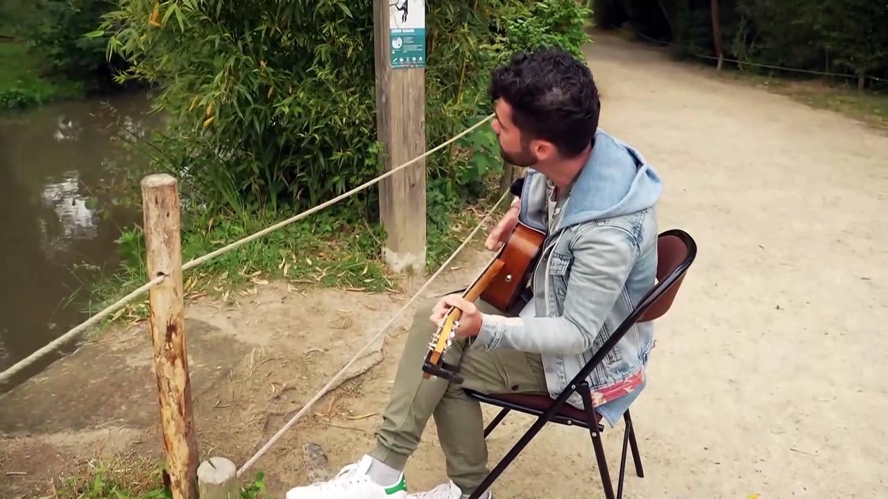 Music experiment at French Zoo aims to improve animal behaviour
