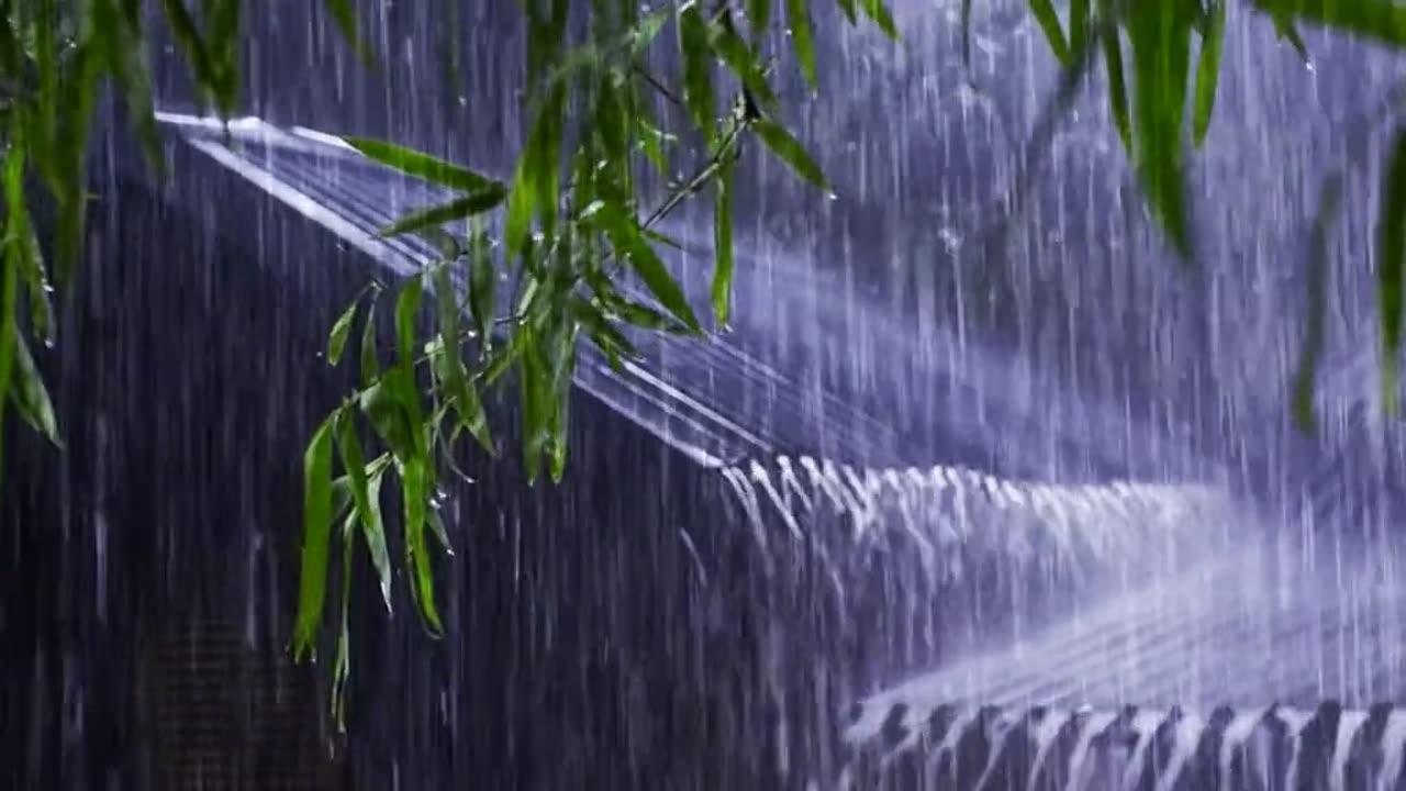 🌧️ Rainy Nng, Studying, or Sleepingain Sounds for Relaxing, Studying, or Sleeping