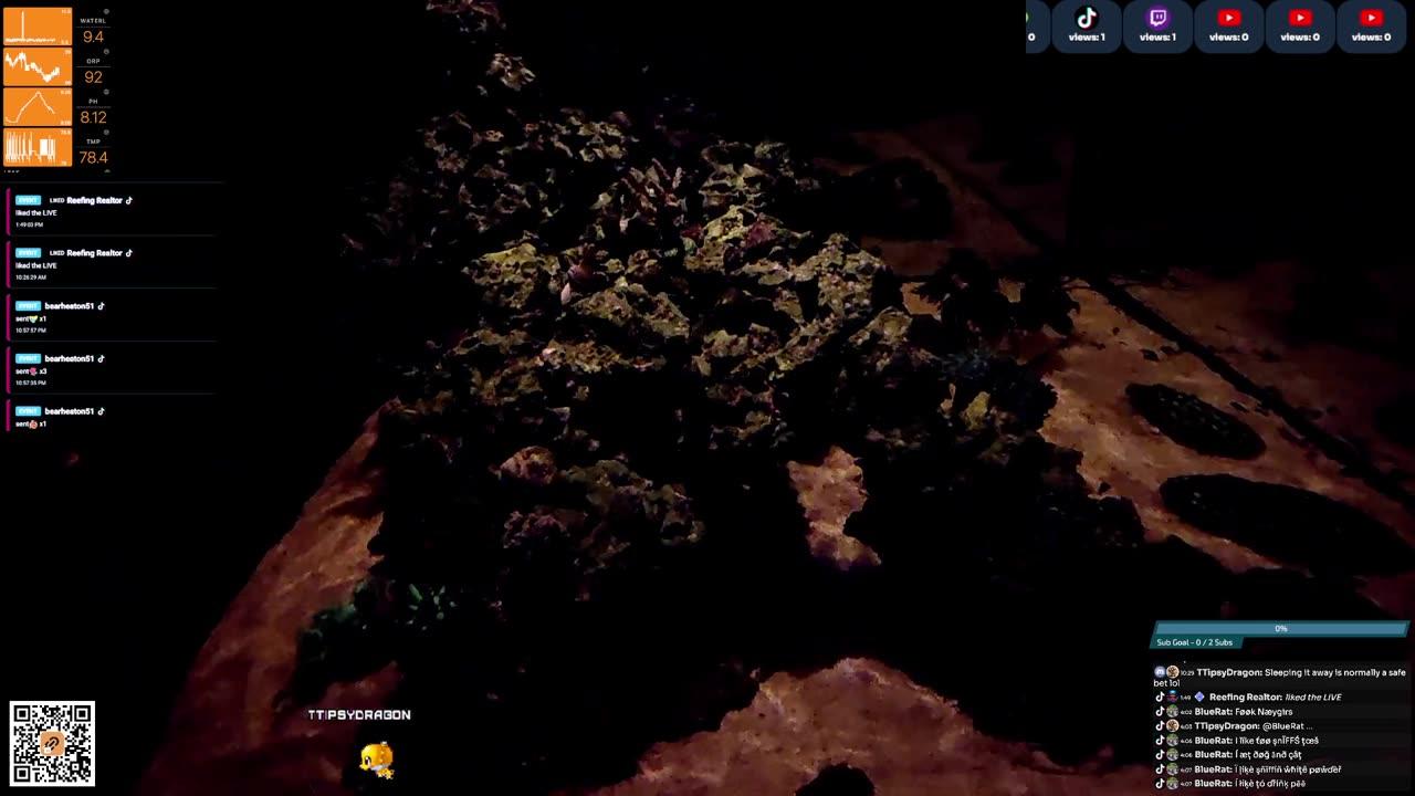 24/7 Real Live Reef Stream