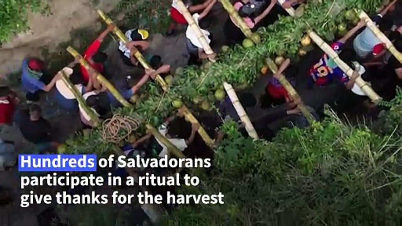 Salvadorans carry pineapples and coconuts to celebrate abundant harvest