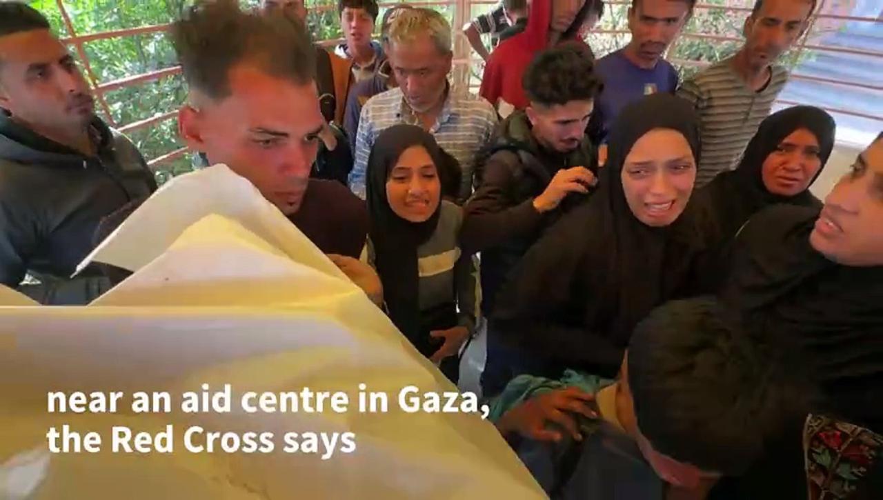 Children mourn their mother killed as she went to collect aid in Gaza