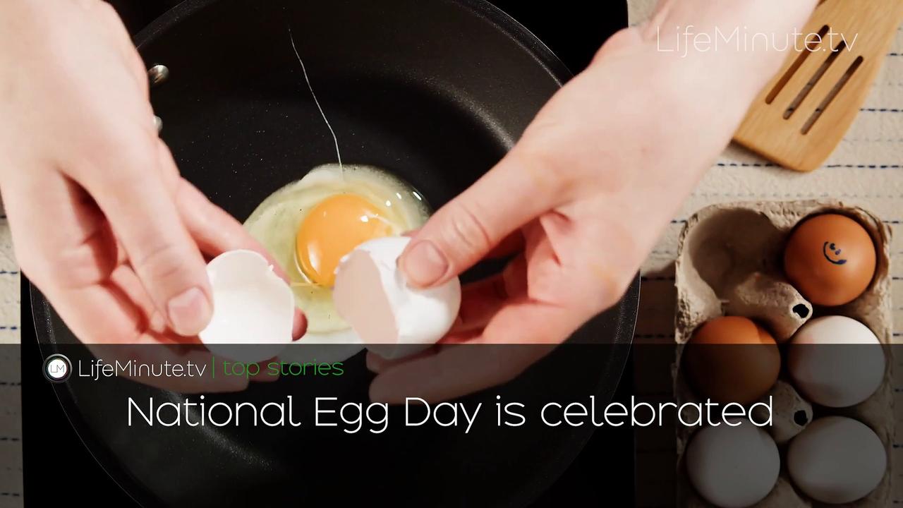 Saoirse Ronan is Pregnant with First Child, King of the Hill Voice Actor Jonathan Joss Shot Dead at 59, National Egg Day is Obse