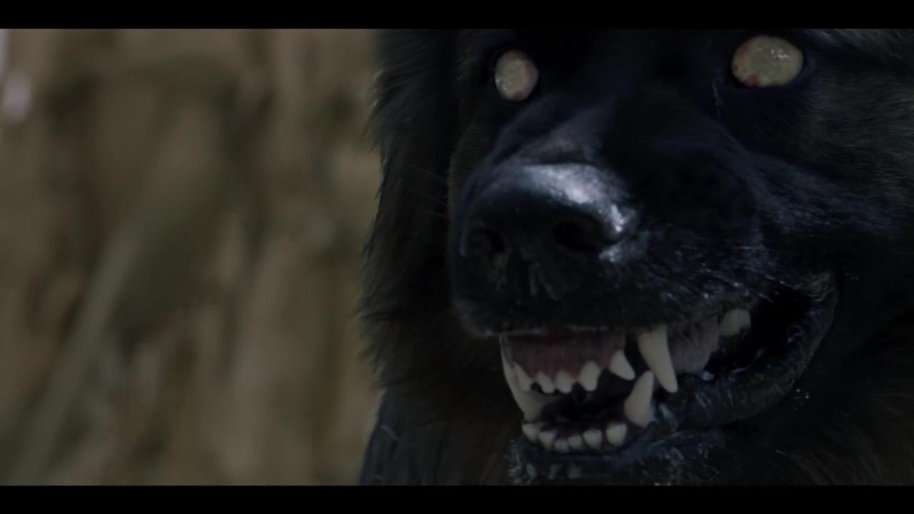 The Dogs Movie (2025)