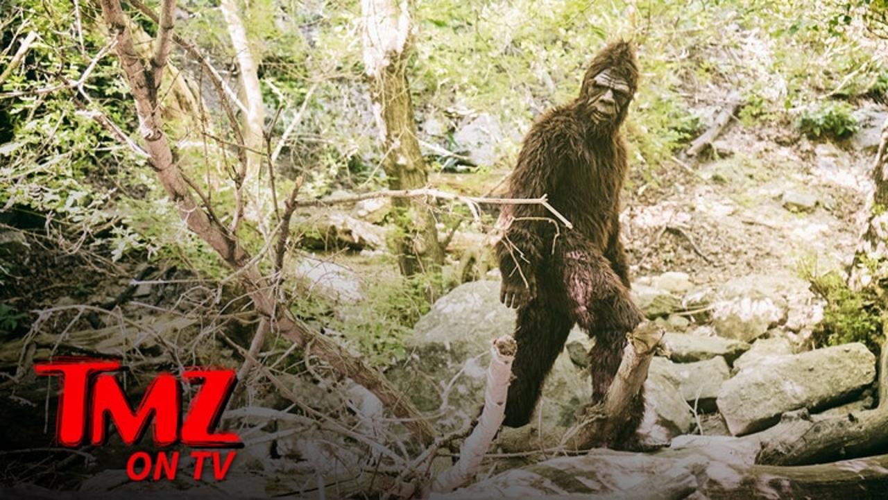Nat Geo's Mireya Mayor Shuts Down New Viral Bigfoot Video | TMZ TV