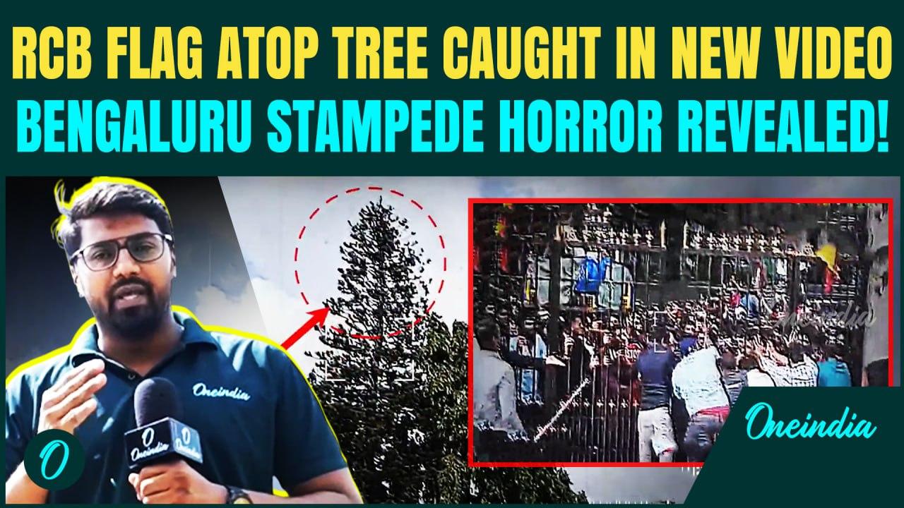 RCB Stampede Horror EXCLUSIVE: UNSEEN Videos Show the Tree Climbed by 50 as Crowd Crush Kills 11