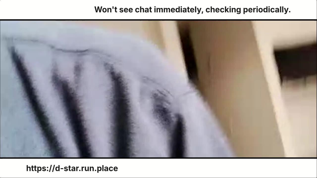 Installing Carpet Live on the Internet