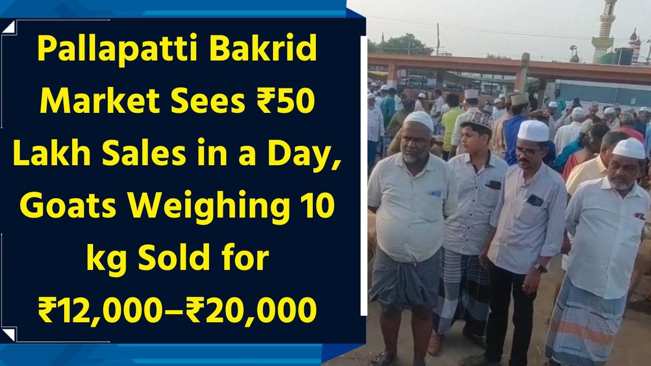 Pallapatti Bakrid Market Sees ₹50 Lakh Sales in a Day, Goats Weighing 10 kg Sold for ₹12,000–₹20,000