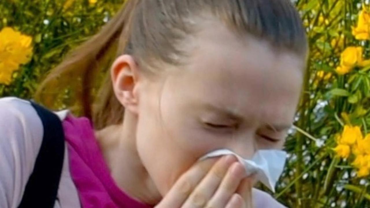 There Are Some People That Would Take a Pay Cut to Avoid Seasonal Allergies