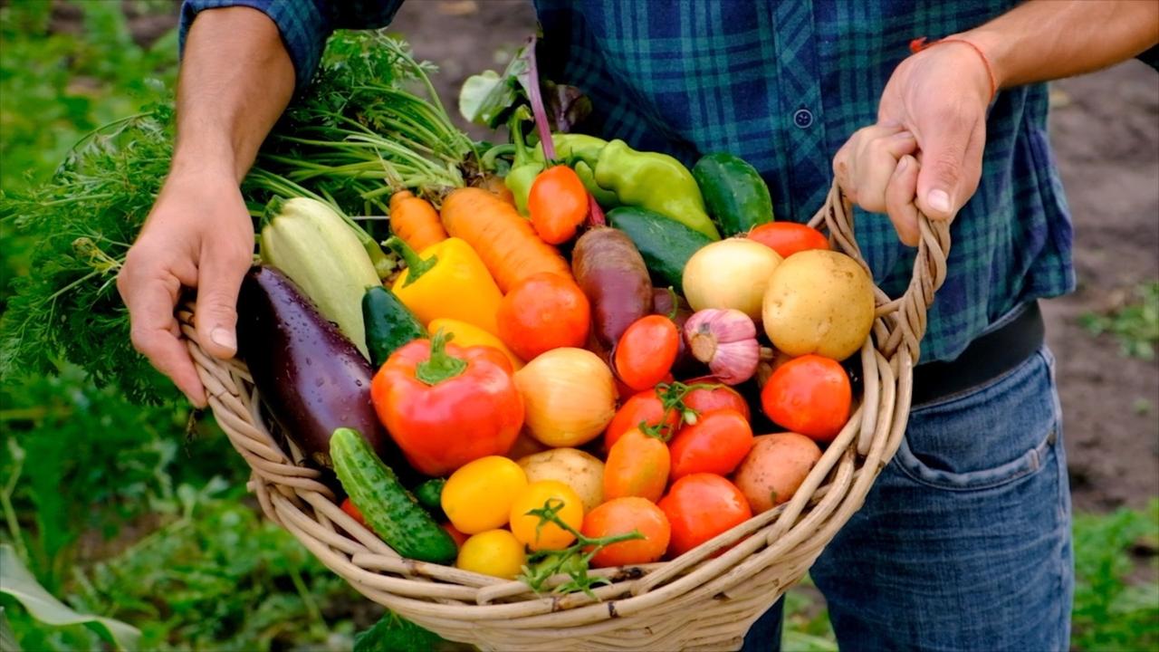 This is How You Start and Keep The Most Amazing Vegetable Garden