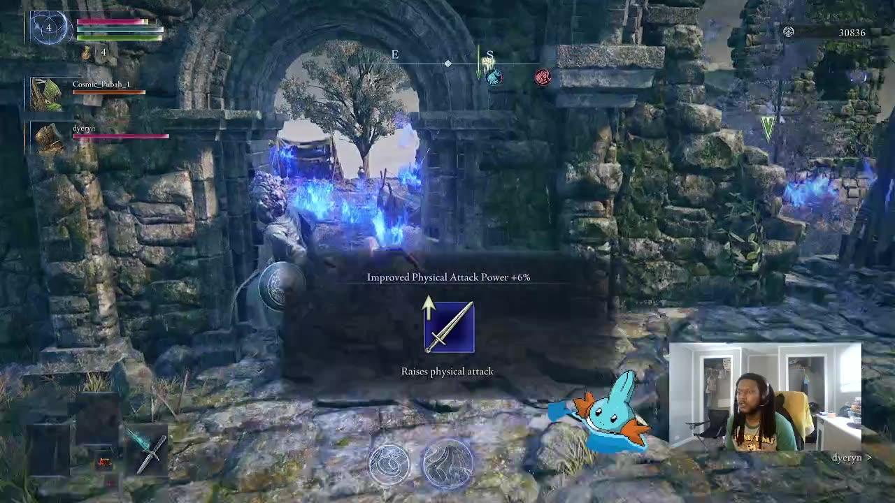 Nightreign runs