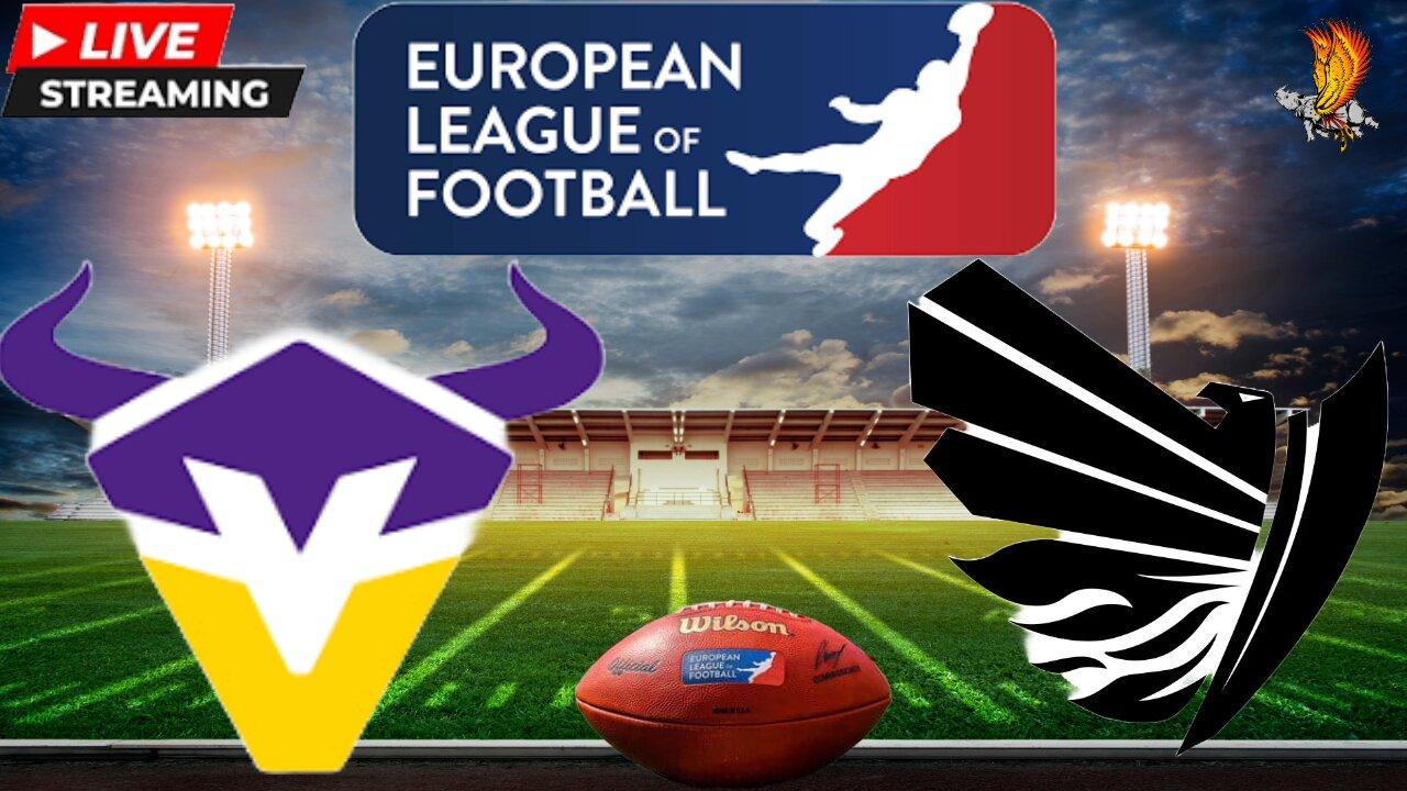 Raiders Tirol vs Vienna Vikings ELF: Week 4 Watch Party and Play by Play