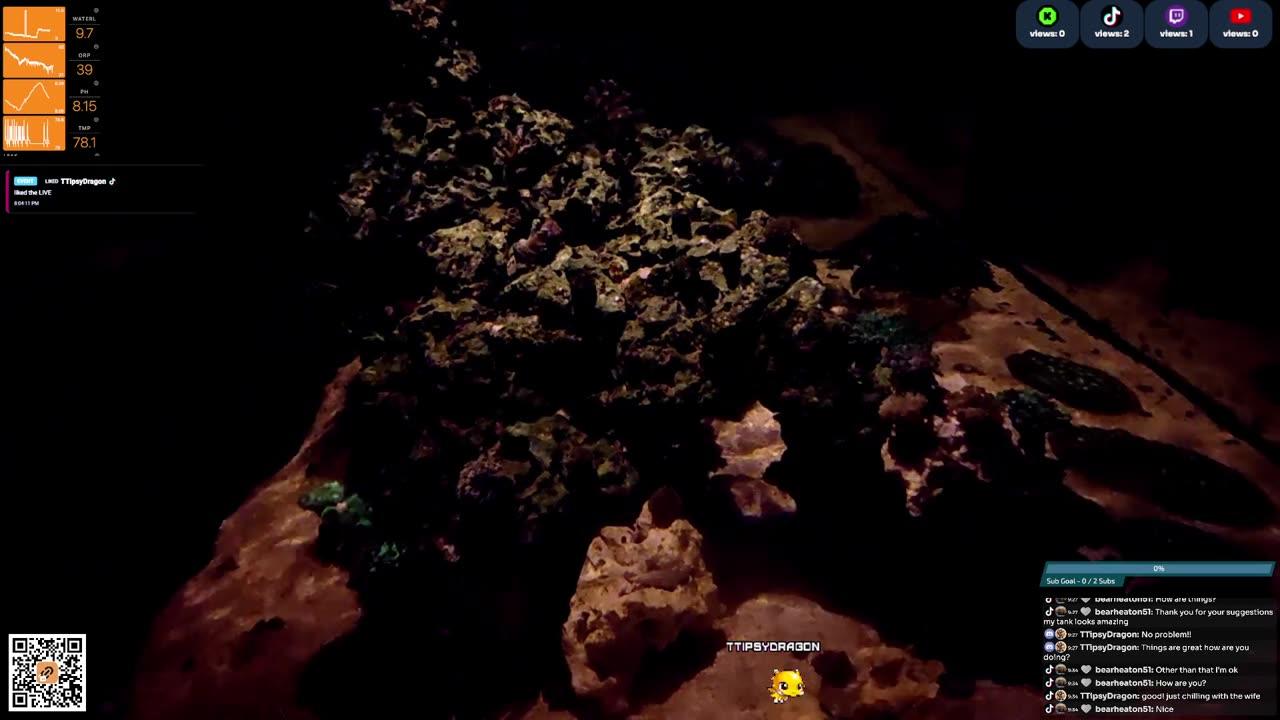 24/7 Real Live Reef Stream