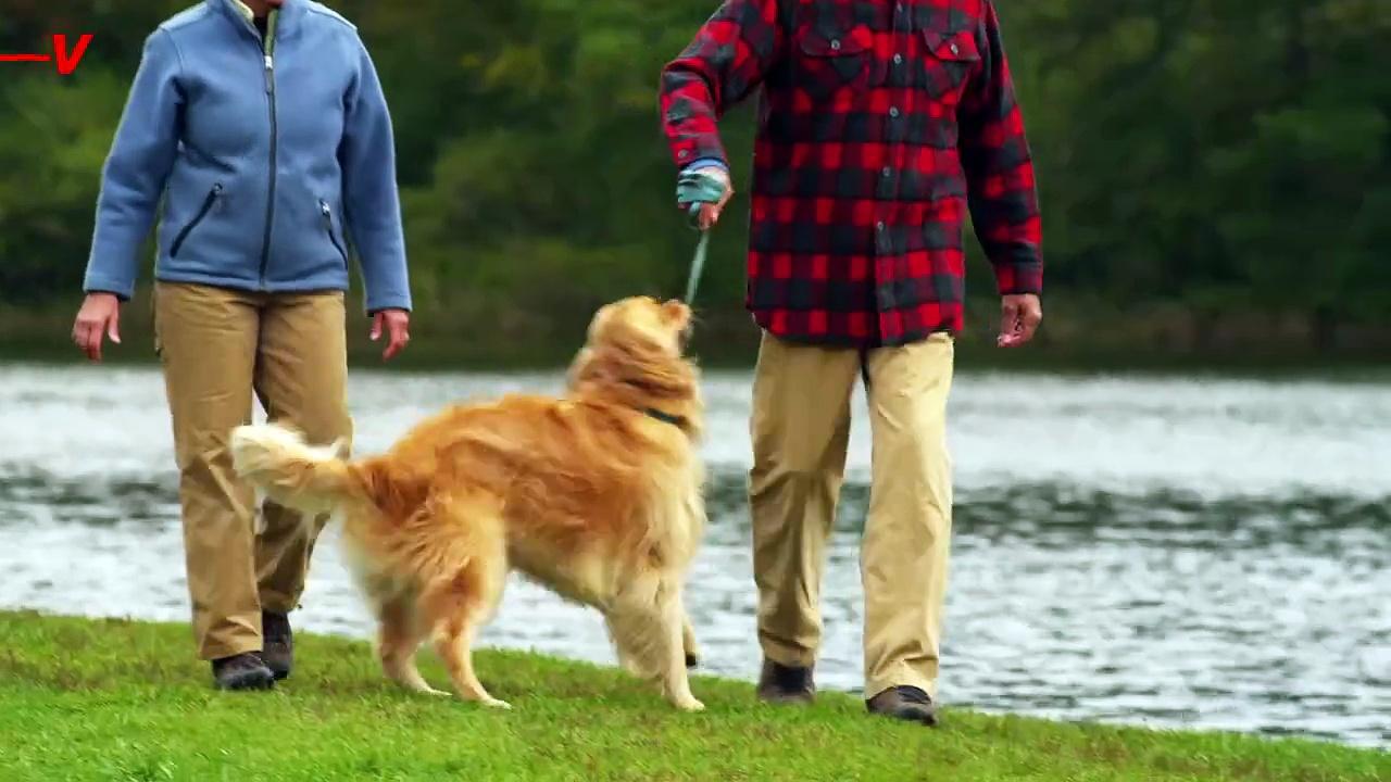 This Simple Exercise May Lower Your Risk of Alzheimer’s.mp4