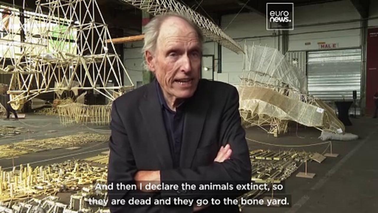 Dutch artist Theo Jansen’s stunning walking sculptures showcased in new exhibition