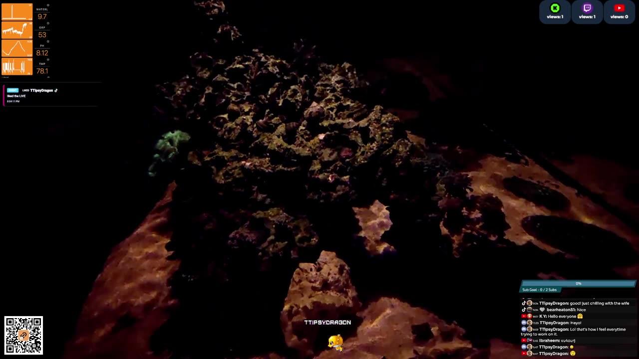 24/7 Real Live Reef Stream