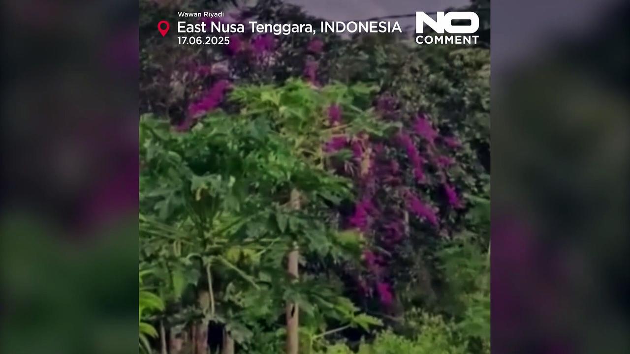 Watch: Indonesia volcano eruption sends ash 10km into sky