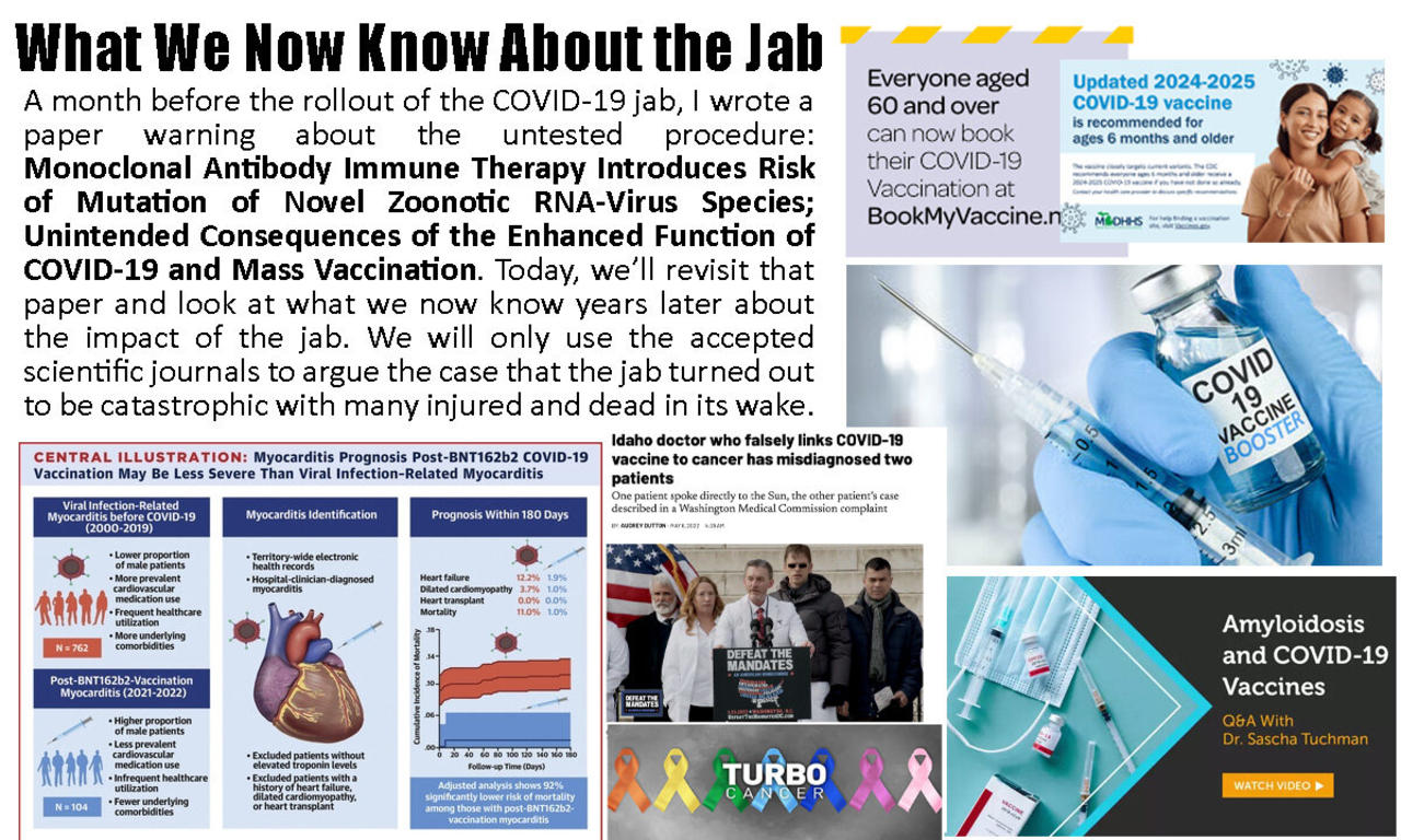 What We Now Know About the Jab. Was It Safe?
