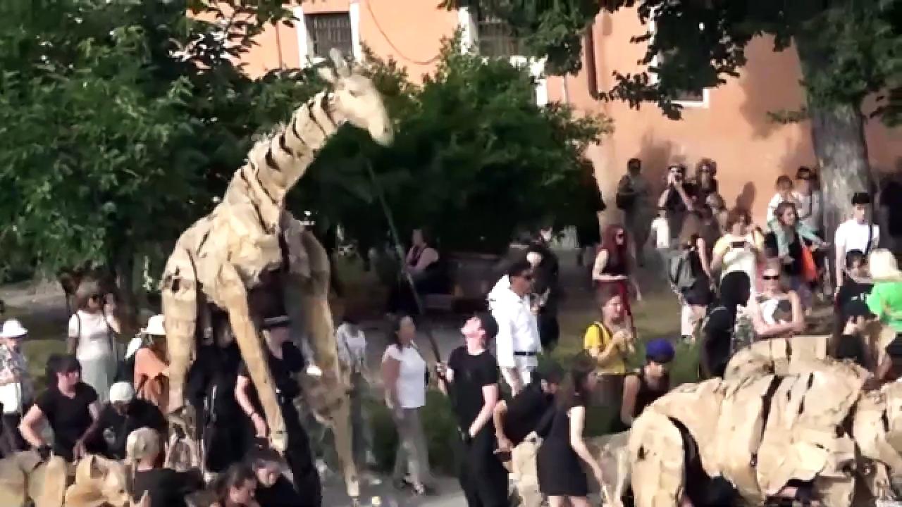 Life-size puppet herds march across continents for climate action
