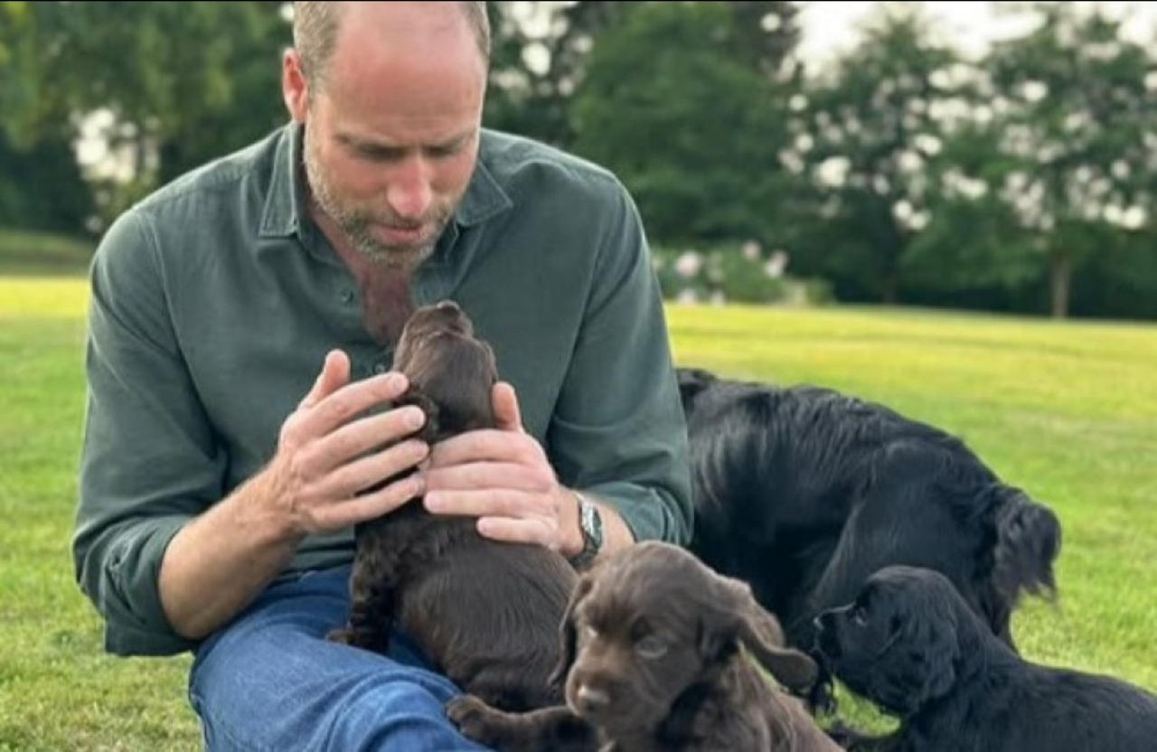 Prince William’s family celebrated his birthday with a sweet puppy photograph