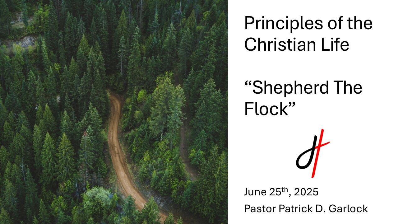Shepherd The Flock