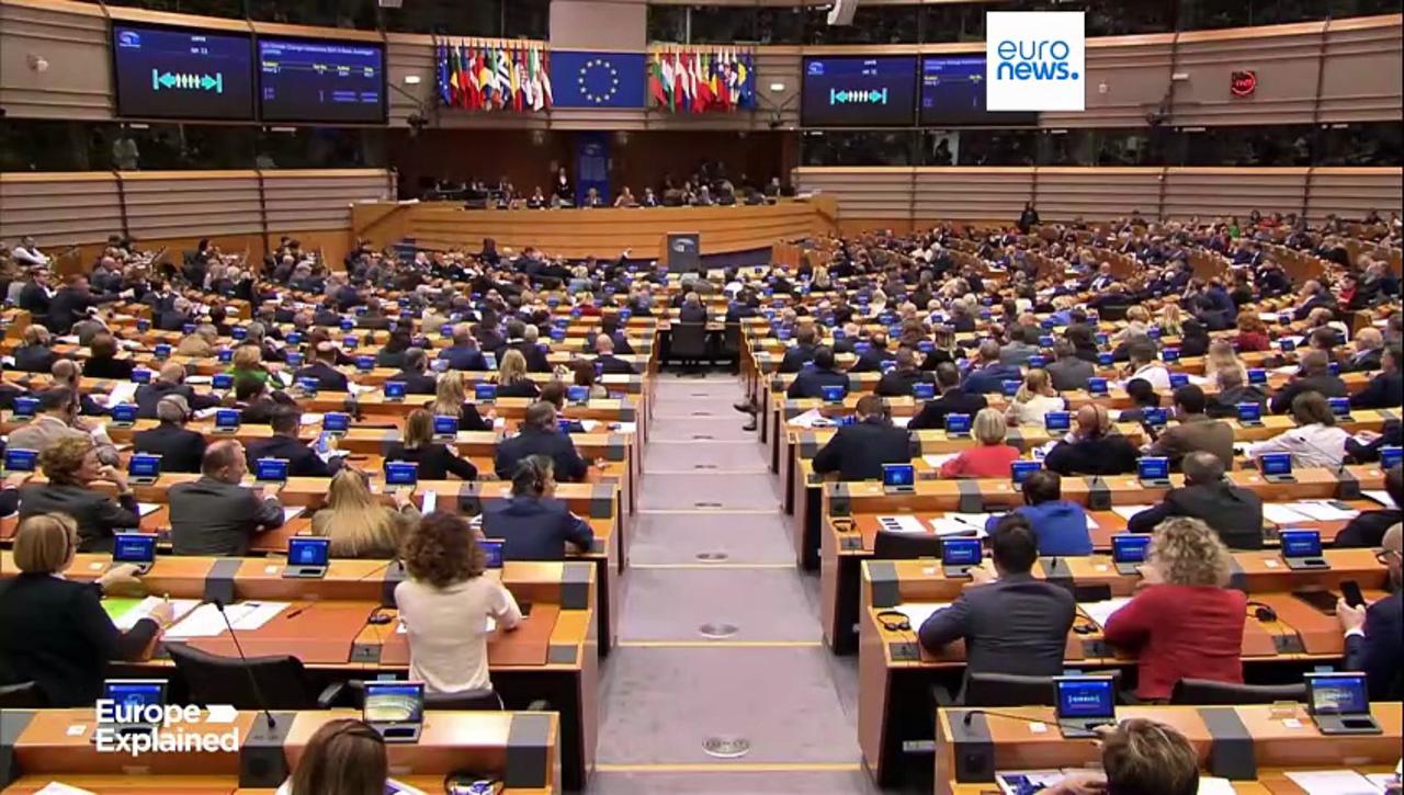 MAGA-aligned conservative groups actively lobby MEPs on climate and tech laws, report claims