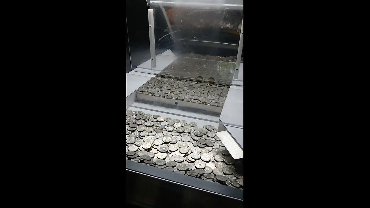 Coin Pusher LIVE STREAM