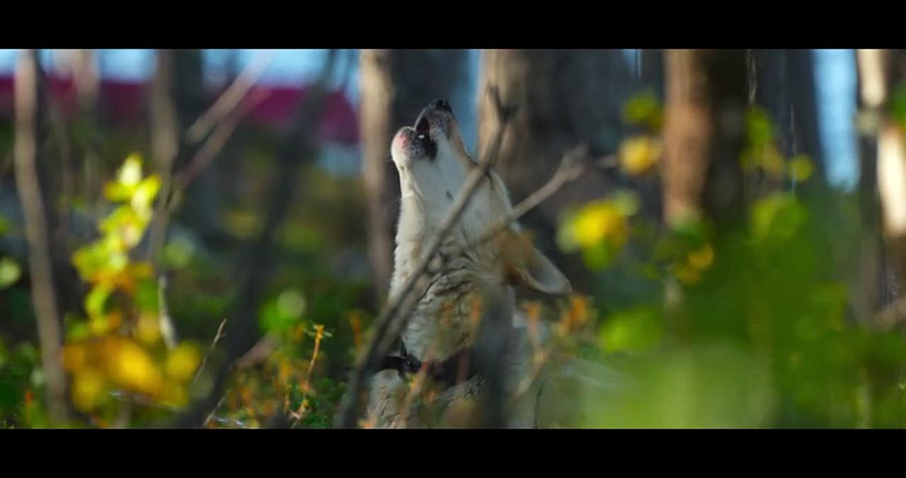 Folktales Movie