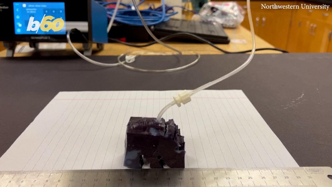 This Weird Alien Looking Silicone Robot Was Designed By Artifical Intelligence