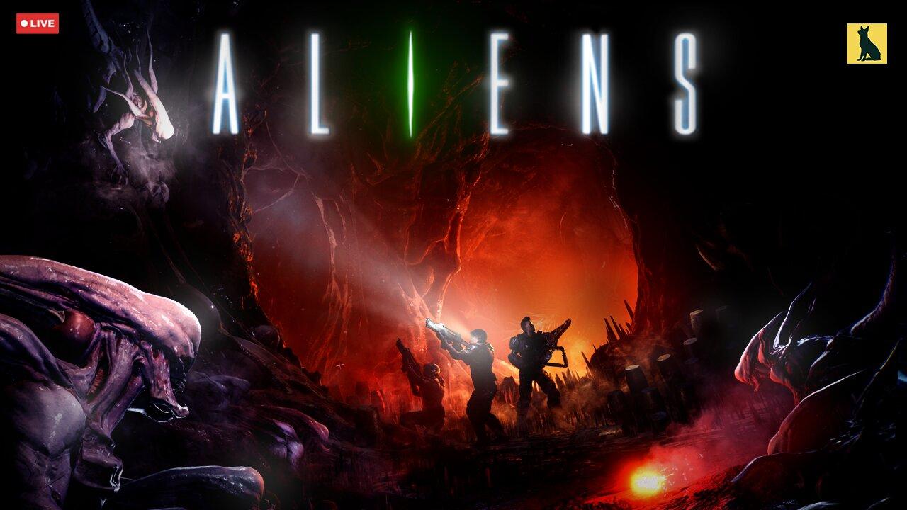 🔴LIVE - New Predator. New Rules. No HUD